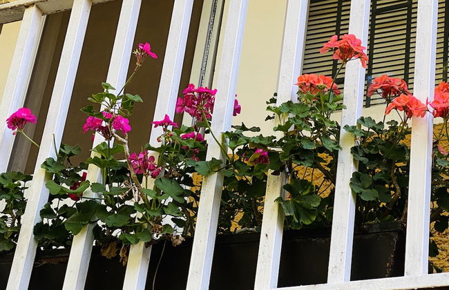 Rincòn Único Centrico - Foto 40