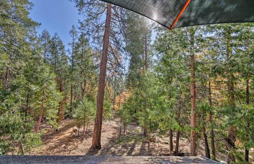 Deck with Forest Views Quiet Twain Harte Cabin! - Photo 21
