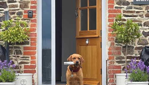 The Dairy - Foto 2