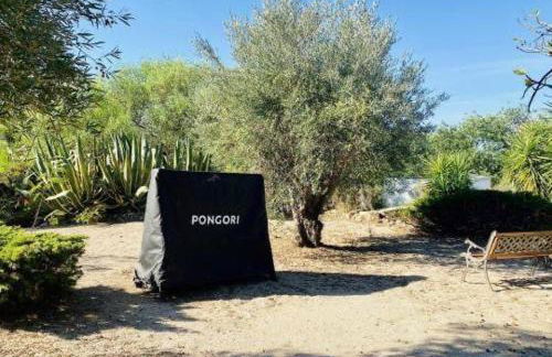 Casa Olivier - Foto 48