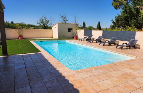 DOMAINE DE POULHARIES -Merlot - Foto 11