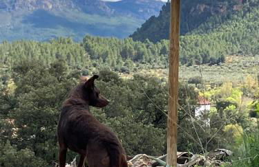 Pilar de la Sima casa rural Arguellite Yeste - Foto 13