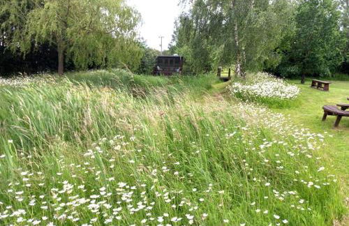 Rustic Retreat Guest Lodge - Photo 20