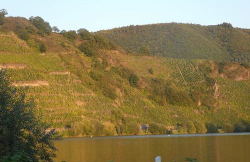 Hausboot Moselrose in Pölich - Foto 48