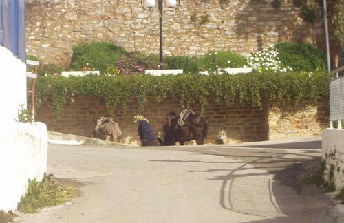 Big family house in Mesochoria village - Foto 23