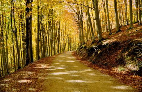 Appartamento Borgo Mezzo - Foto 19