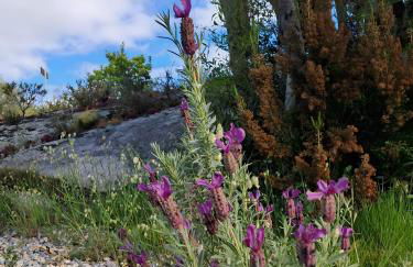 Villa Alcumissu - Foto 30