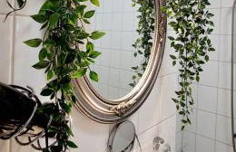 Dresden Großer Garten - Foto 25