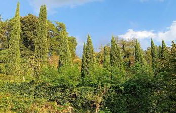 Holiday Villa in Sabina with Private Pool - Foto 53