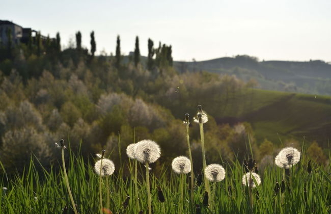 CasaMatilda Agriturismo Langhe - Foto 57