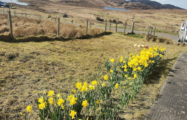 27 Garenin - Photo 27