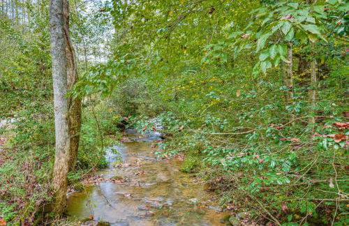 Enchanting Creekside Cottage with Hot Tub - Foto 28