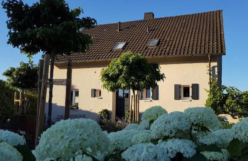 gleisberg3 - Südliche Weinstrasse - Foto 10