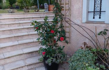 Le Mas des Pins - Foto 38