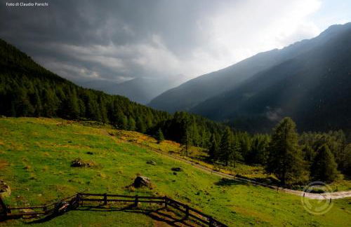 Agriturismo Malga Pontevecchio - Foto 13