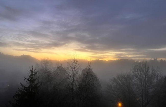Wunderschone Ferienwohnung im Burgenland - Photo 34