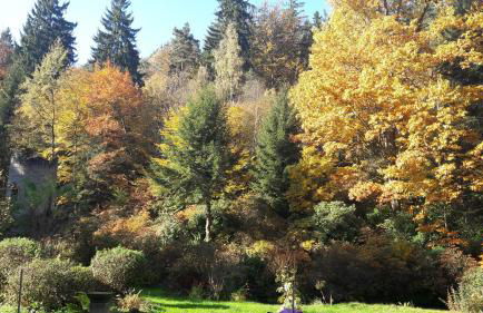 Rapunzel trifft Dornröschen - Foto 30