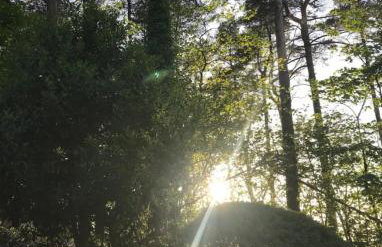 Flying Scotsman Unique Carriage Pet Friendly! Lazy Spa can be available upon request with additional cost of 40 - Foto 45