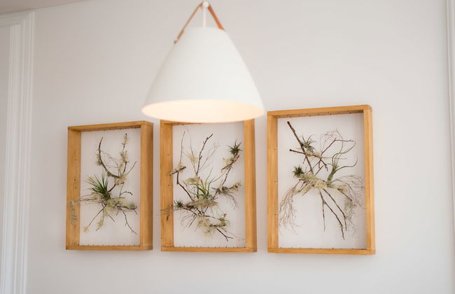 Apartamentos Praça Amarela - Foto 40