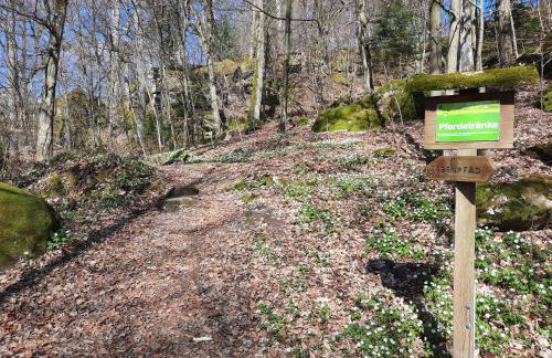 Ferienwohnung Schloss Fischbach - Foto 35