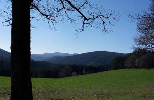 Sulzerhof - Photo 10