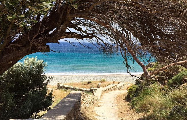 Tour a Tinos desde la isla de Mykonos - Foto 6