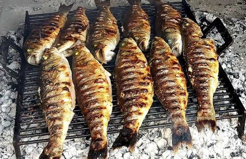 Apartments Vila Punta - Foto 19