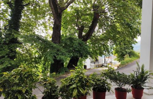 Isidora Apartments - Foto 7