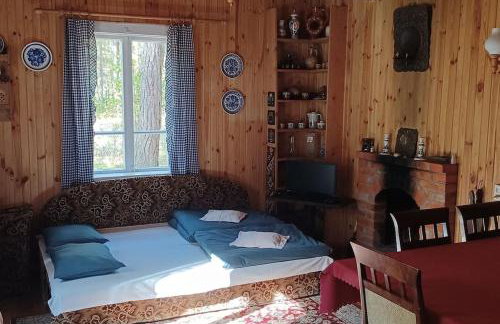 Wilga - urokliwy dom z bala (50 km od Warszawy) - Foto 7