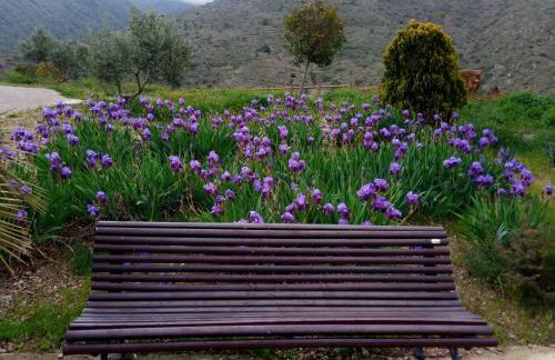 El Retiro de Isabel - Foto 13