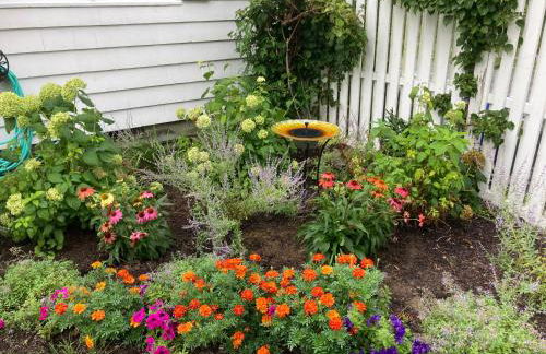 Bellport Village Gem - Foto 16