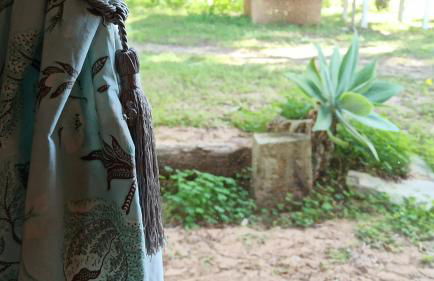 El Abejaruco - Foto 21