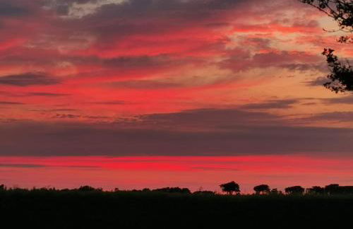 Ferienwohnung Hol Di! Zwischen Spo und Westerhever - Foto 30