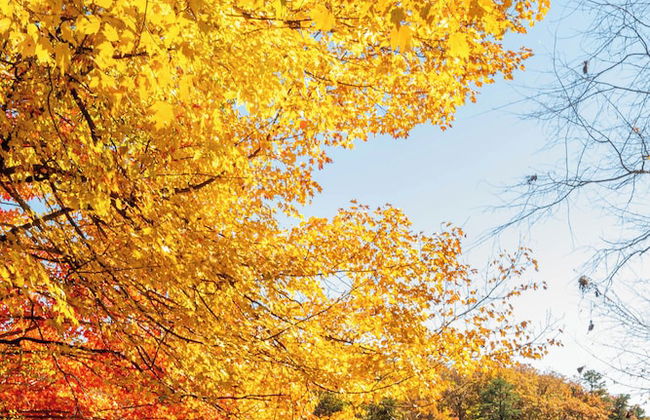 Lake Shore by Taylor Made Deep Creek - Foto 55