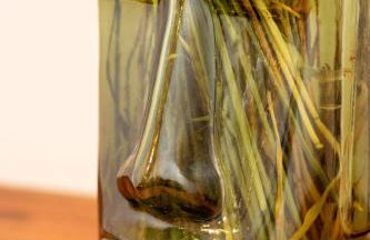 Le Grand Ker - Gîte de Charme - Photo 15