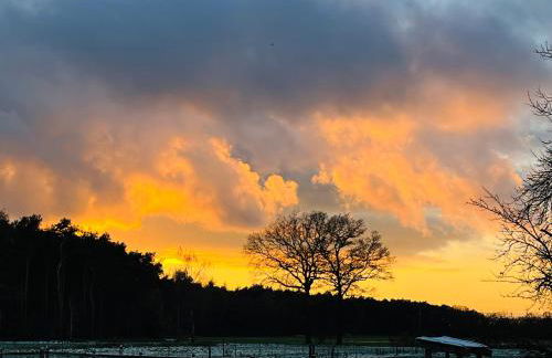 Wunderschöne Ferienwohnung mit Balkon auf dem Bauernhof - Foto 24
