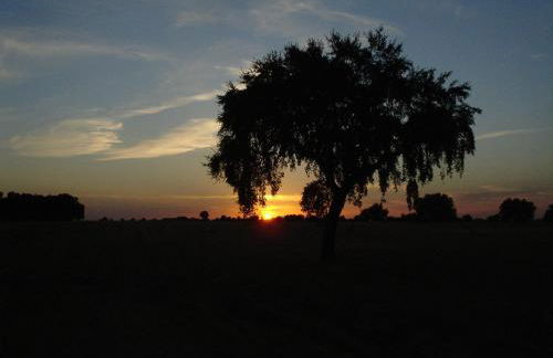 Monte Quinta Verde - Foto 20