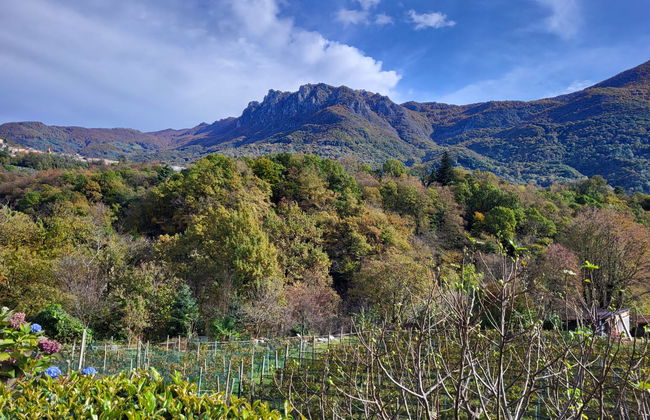 Villaggio Sureggio A7 mit TicinoTicket - Foto 40