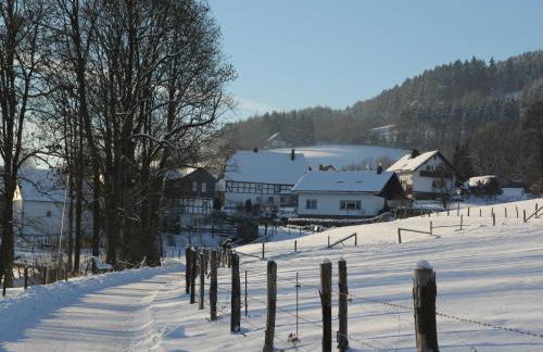 Naturrefugium bei Willingen - Foto 22