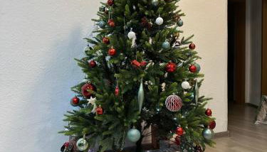 Oppiner Straße 14 Trotha - Foto 2