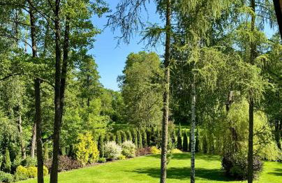 Leśne zacisze nad Narwią - Foto 1