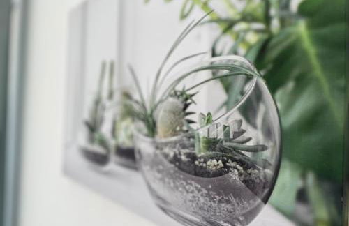 Vesuvius garden - Photo 37