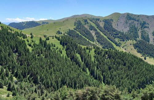 Studio au cœur de Valberg à proximité des pistes - Foto 37