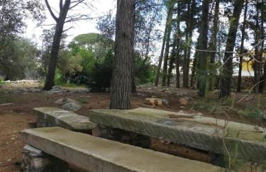 Villa in a lovely olive grove 10 minutes from the sea Ada residence - Foto 19