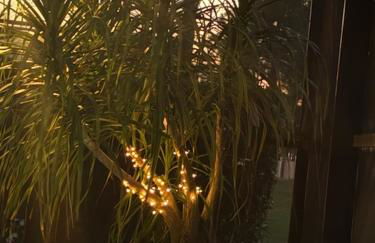 Luxury Villa - 75 inch smart TV, Upgrades throughout! 20 minutes to Disney - Foto 6