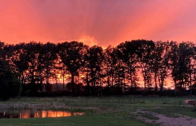 Modern Forest Chalet - Photo 30