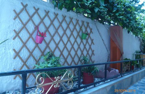 Golden Sun Rooms - Foto 34