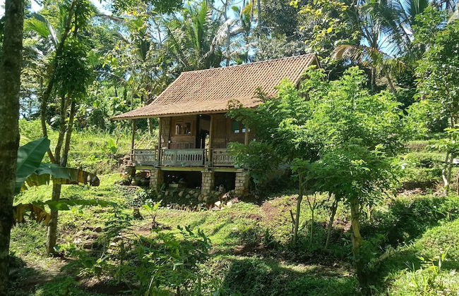 duegoal farmhouse - Photo 26