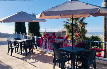 Damajuana ll - Photo 29