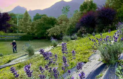 Casa del Piol Fattoria dei fiori - Photo 52